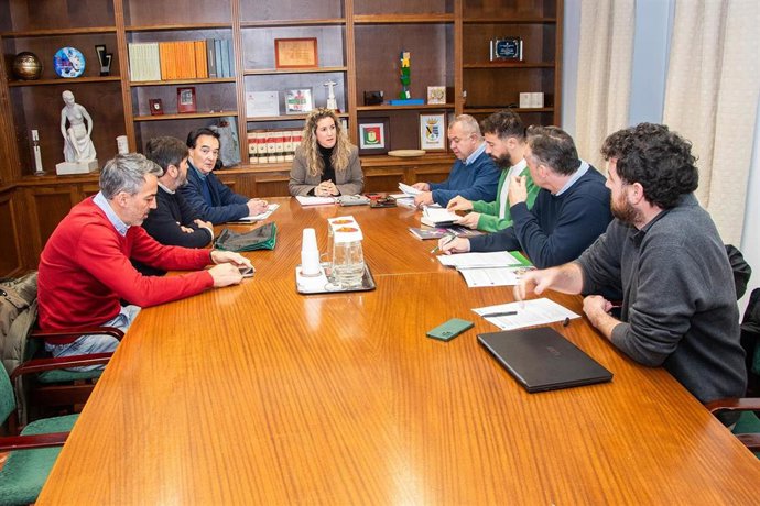 La diputada de Políticas Sociales de la Diputación de Cáceres, Sheila Martín, se ha reunido este miércoles con representantes de las tres Oficinas de Accesibilidad Universal de Extremadura