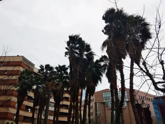 Rachas fuertes de viento en Euskadi