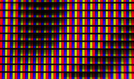 notibrasil sociedade