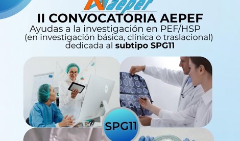Asistencia
