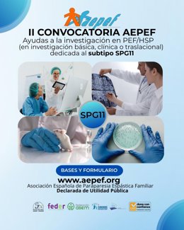 A Associação Espanhola de Paraparesia Espástica Familiar (AEPEF) abriu a segunda convocatória de bolsas de investigação do subtipo SPG11.