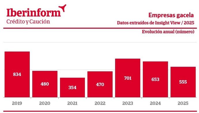Las empresas gacela descienden un 15% en 2025, según Iberinform.