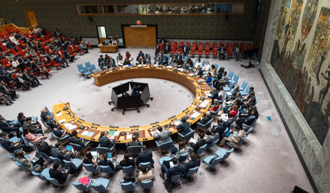 notibrasil sociedade