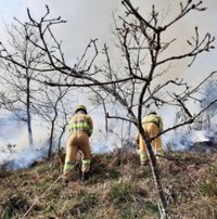 Cantabria activa el nivel 2 de prevención de incendios forestales, con 10 registrados en las últimas 24 horas