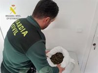 Detenido por transportar sin carnet casi un kilo de cogollos de marihuana en La Campana (Sevilla)