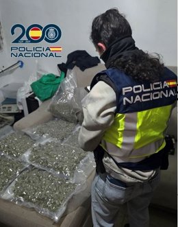 Marihuana intervenida en la zona norte de Granada