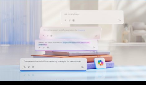 notibrasil sociedade