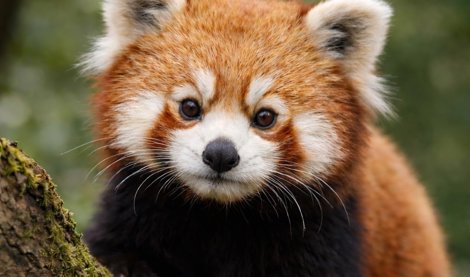 notibrasil sociedade