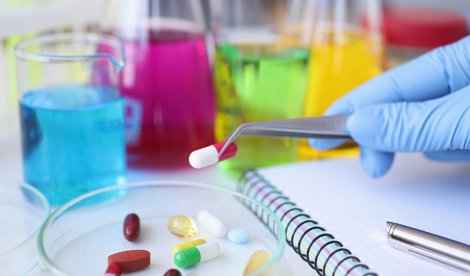 notibrasil sociedade