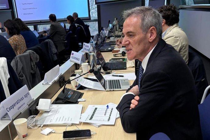 El representante de Cooperativas Agro-alimentarias de España y director general de la cooperativa Agrosevilla, Julio Rodas, durante su intervención en Bruselas en el Grupo Consultivo de la Comisión Europea.