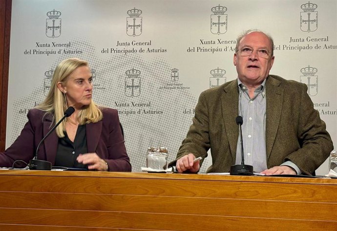 Rueda de prensa de los diputados del PP José Cuervas-Mons y Susana Fernández sobre Vipasa.