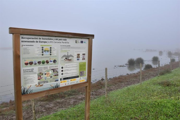 Paraje Natural Brazo del Este (Sevilla)