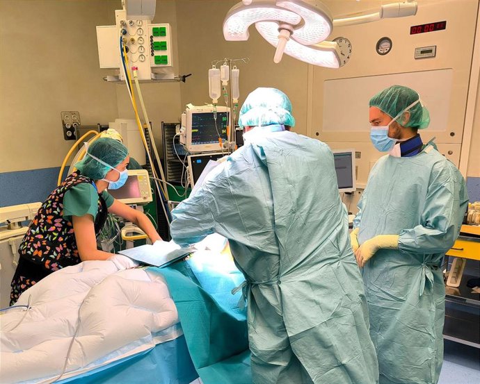 Archivo - Foto de archivo