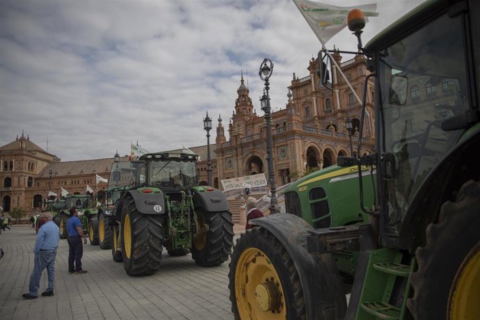 Archivo - Asaja-Sevilla, COAG Sevilla, UPA Sevilla y Cooperativas Agro-alimentarias de Sevilla celebran una concentración-tractorada en defensa del futuro del campo, en contra de la convergencia brusca de la PAC y por una PAC justa para los agricultores y