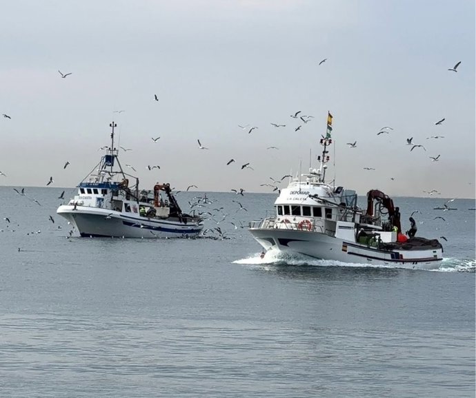 La flota pesquera andaluza paralizará su actividad el próximo lunes, 19 de enero, en señal de protesta.
