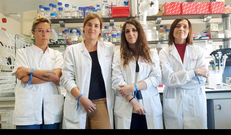 notibrasil sociedade