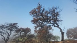 Foto: ASAJA-A - Archivo