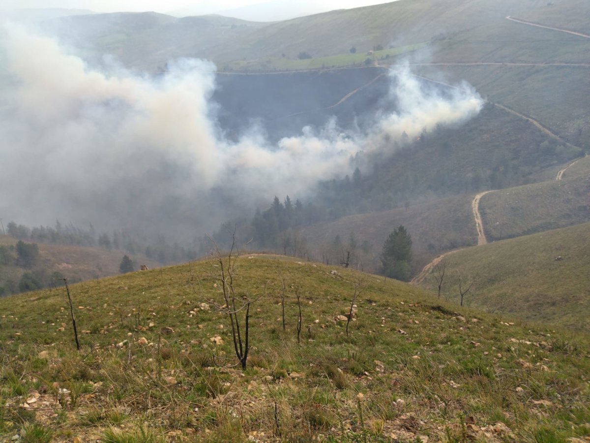 Cantabria revalora el despligue del operativo de incendios forestales ante la mejora de las condiciones meteorológicas