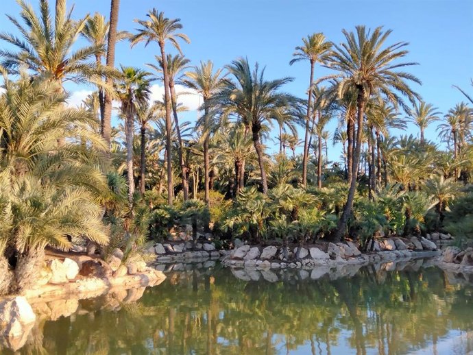 Parque El Palmeral de la ciudad de Alicante