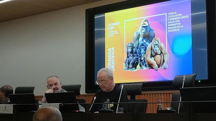 Derechos Sociales dice que la Ley Goodall no equiparará derechos de grandes simios con los de las personas.