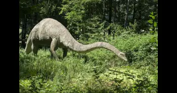 Los grandes dinosaurios y los mamuts eran más lentos de lo que se pensaba, según un estudio