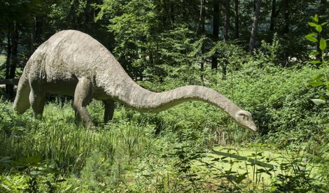 notibrasil sociedade