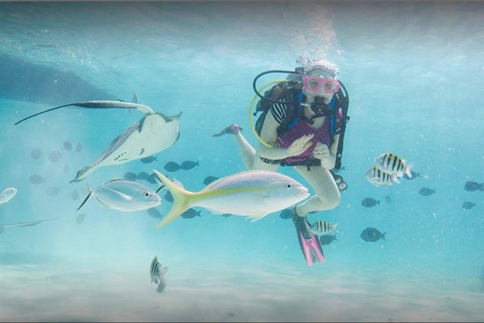 Islas Caimán debuta en Fitur para reforzar sus vínculos con la industria turística europea