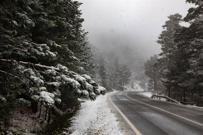 Archivo - Árboles nevados en el Puerto de Navacerrada