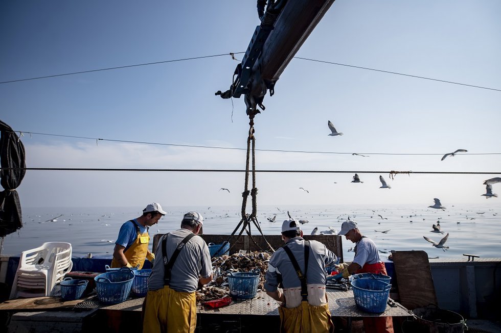 Archivo - Imagen de archivo de pescadores faenando