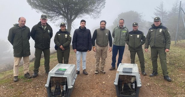 Es Andalucía - Huelva