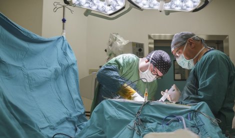 notibrasil sociedade