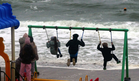 notibrasil sociedade