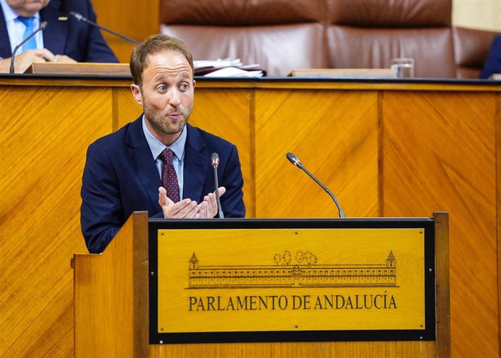 Archivo - Erik Domínguez en una imagen de archivo en el Parlamento andaluz.