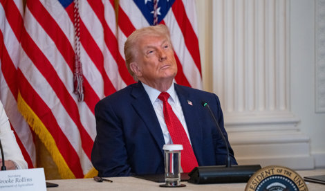 notibrasil política