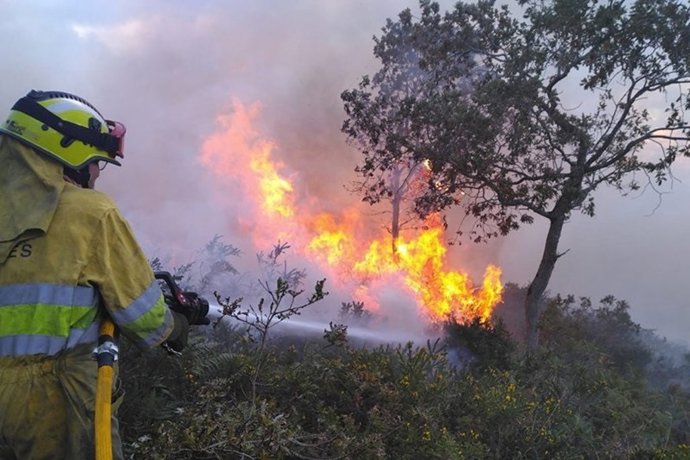 Archivo - Bomberos sofocan un incendio forestal.-ARCHIVO