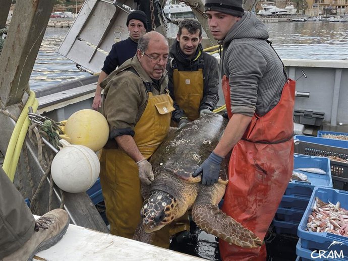 Rescate de una tortuga marina.