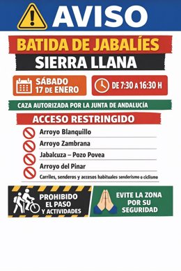 Alhaurín de la Torre acoge este sábado una batida de jabalíes que ejecuta una sociedad de cazadores. El Ayuntamiento explica que la acción está autorizada por la Junta en el marco de la emergencia energética por sobrepoblación de estos animales