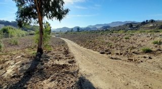 Restauración de vertederos en Almería