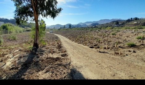 Es  Andalucía - Almería