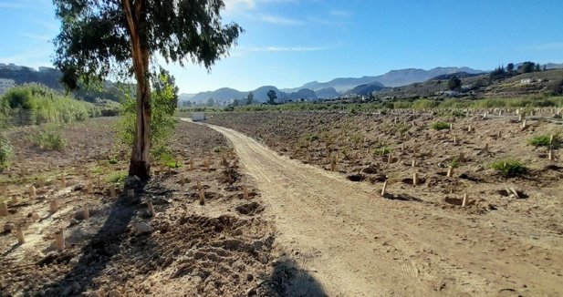 Es  Andalucía - Almería