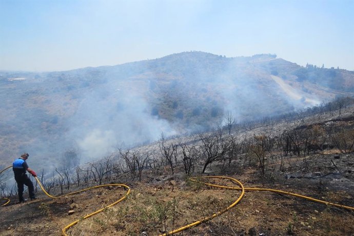 Archivo - Imagen de archvio de un incendio forestal en Mijas (Málaga).