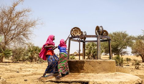 Cooperación y Desarrollo