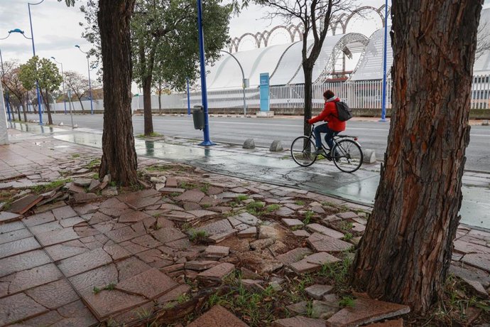 Situación actual de la avenida Camino de los Descubrimientos en Sevilla.