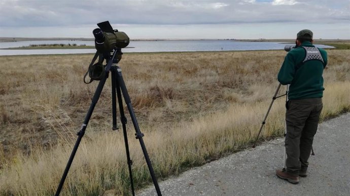 Archivo - Observación aves acuáticas en humedales de Castilla y León.