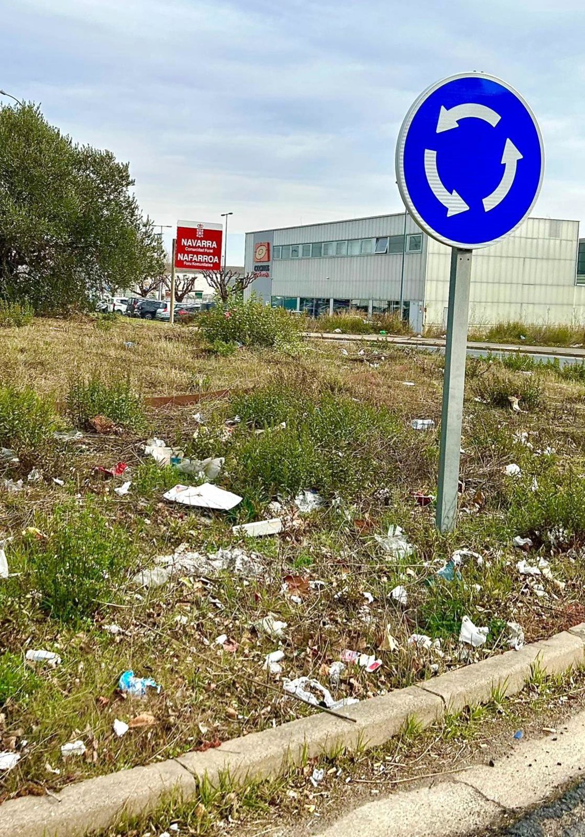 PSOE insta al Gobierno regional a adecentar aquellas vías regionales que  dan una pésima imagen de nuestra comunidad 