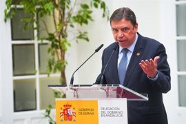 Foto: Francisco J. Olmo - Europa Press - Archivo