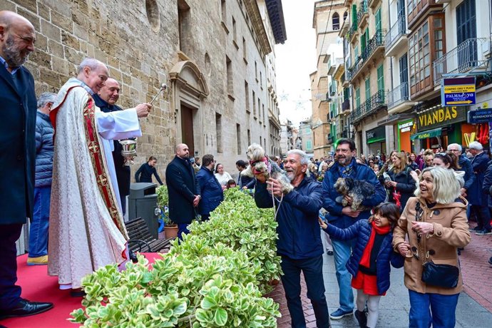 Palma celebra sus tradicionales 'Beneïdes' de Sant Antoni