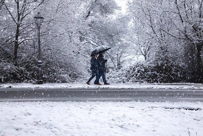 Nevada provocada por la borrasca Harry a su paso por España, en Mataelpino, a 17 de enero de 2026, en Madrid (España).