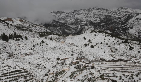 notibrasil política