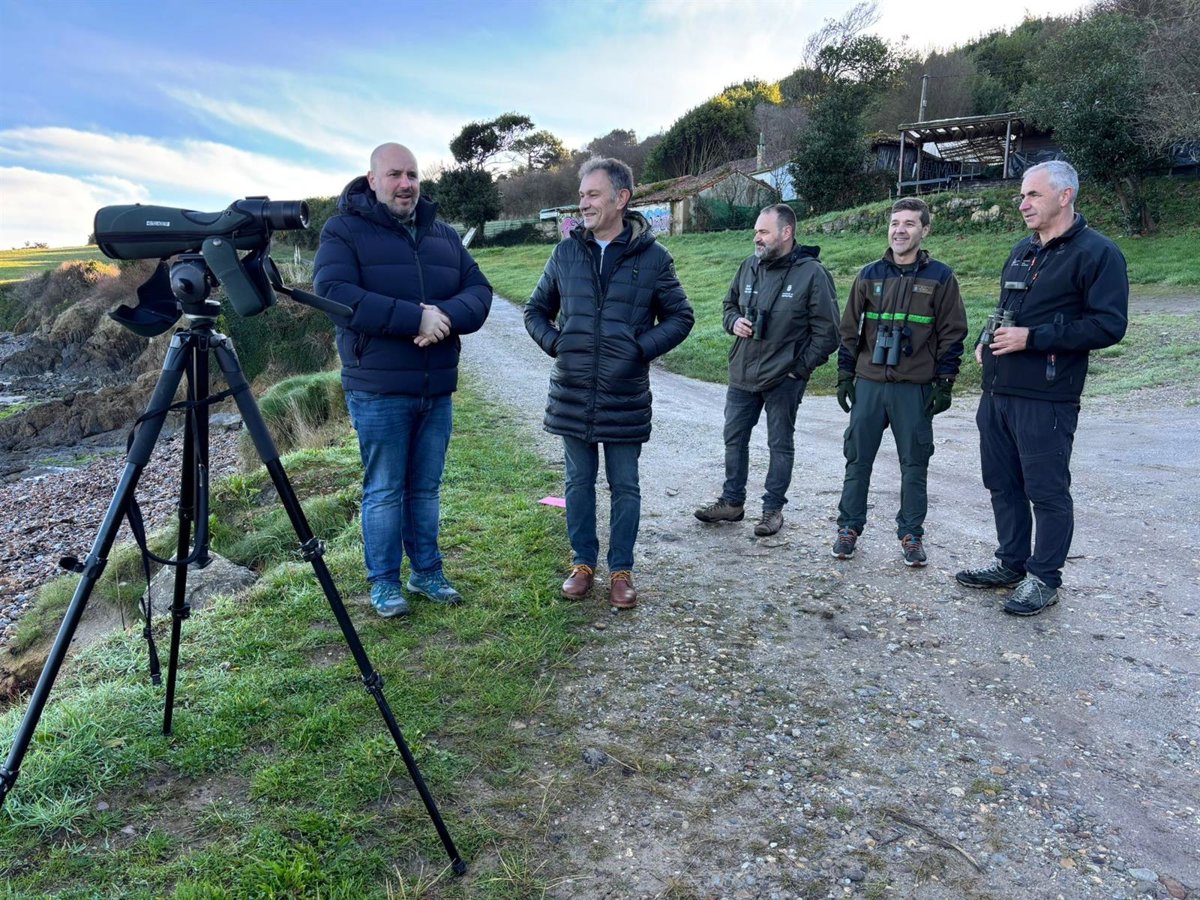 Asturias inicia el censo anual de aves acuáticas invernantes